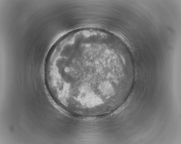 X0000114651038200911171046