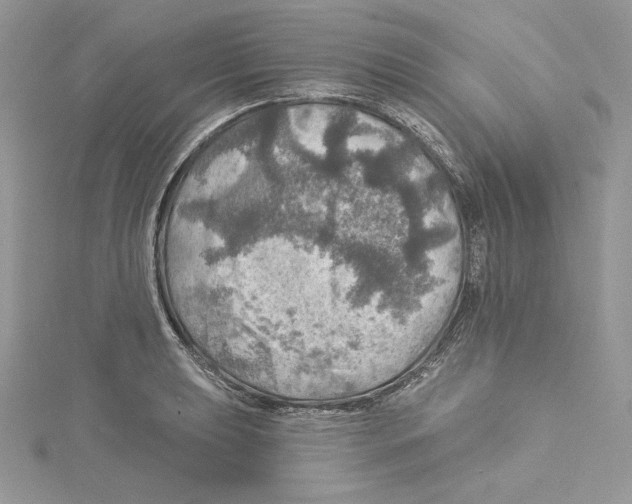 X0000114651039200911171046