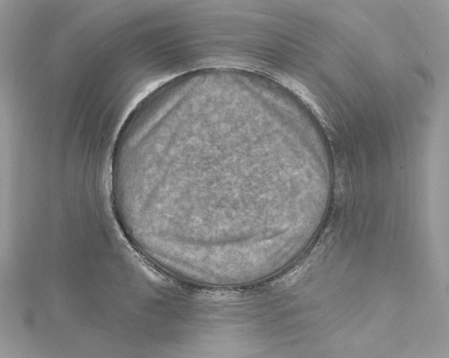 X0000114651040200911171046