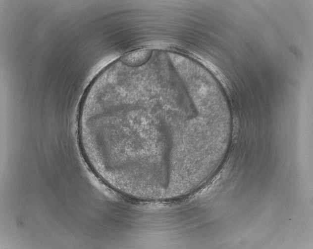 X0000114651042200911171046