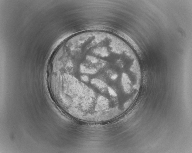 X0000114651043200911171046