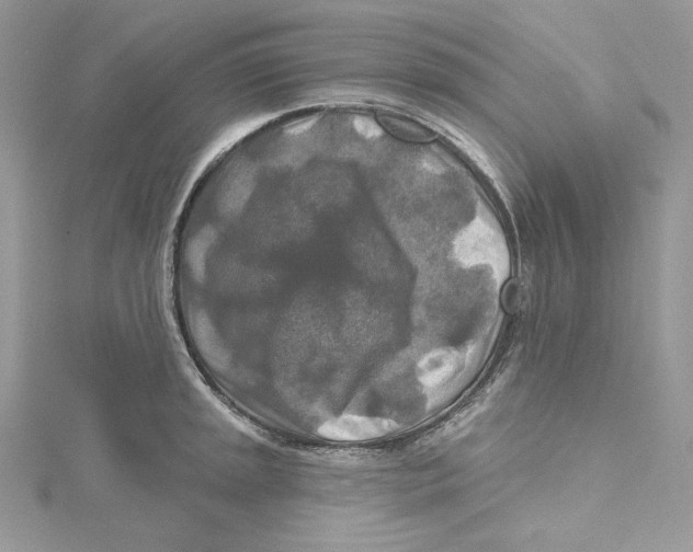 X0000114651045200911171046