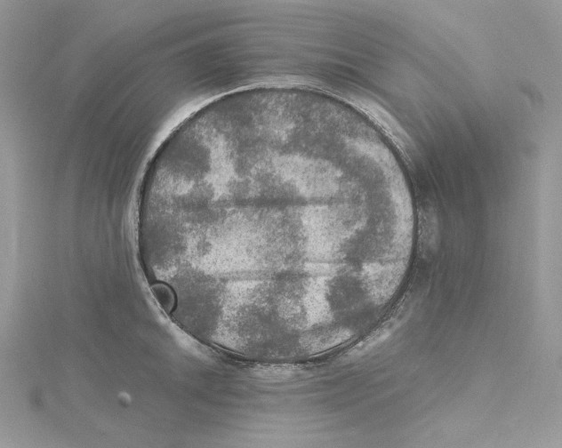 X0000114651046200911171046