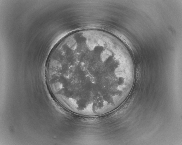 X0000114651047200911171046