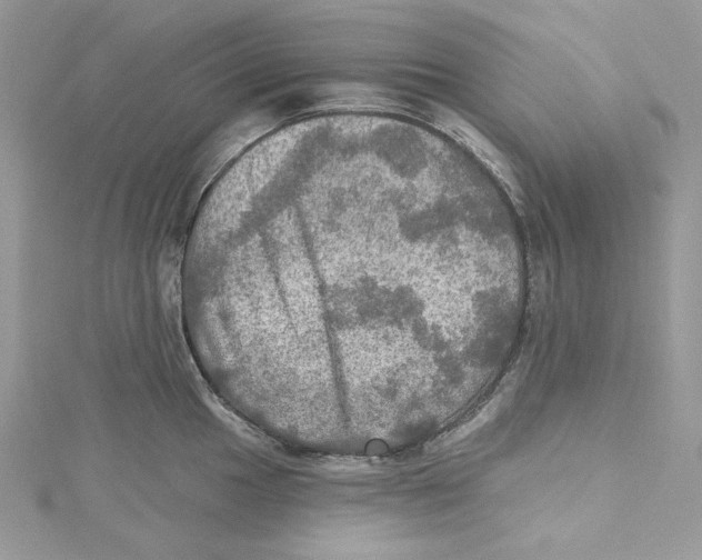 X0000114651049200911171046