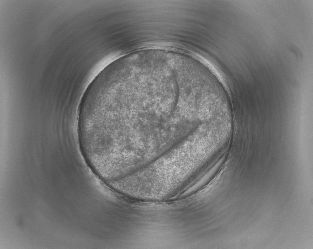 X0000114651050200911171046