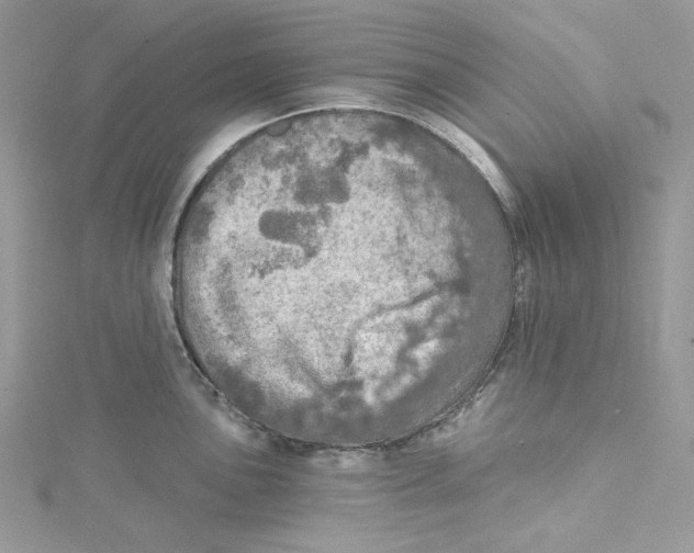 X0000114651051200911171046