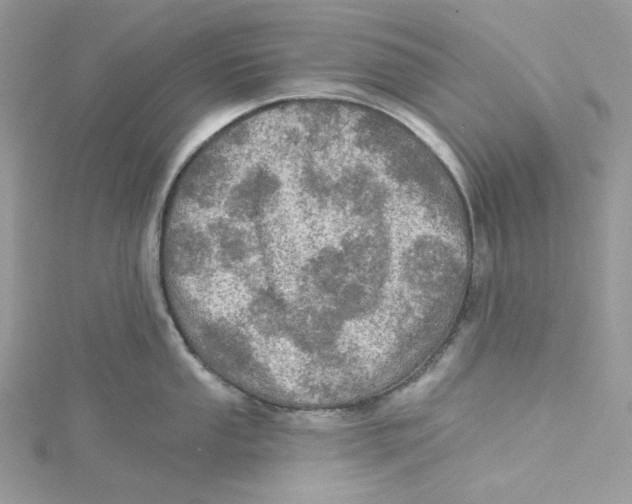 X0000114651053200911171046