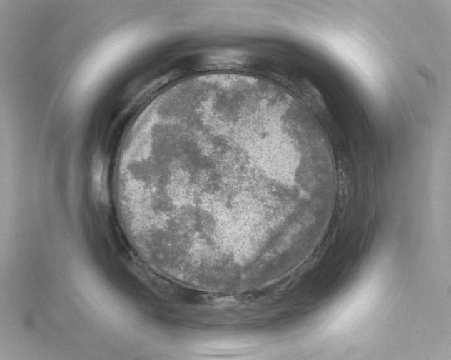 X0000114651054200911171046