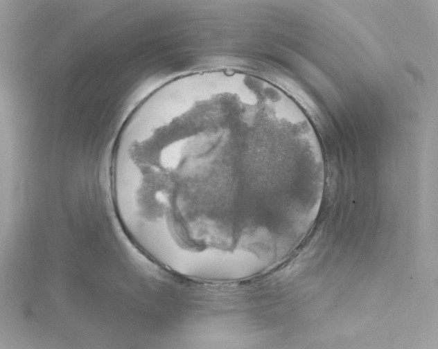 X0000114651055200911171046