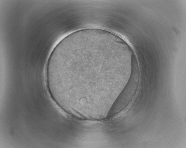 X0000114651056200911171046