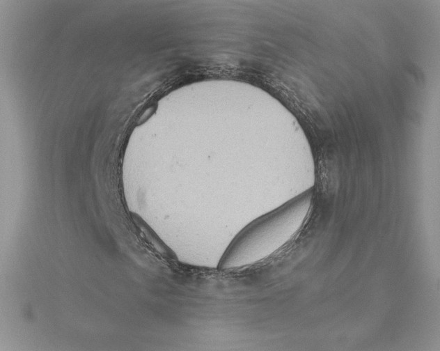 X0000114651057200911171045