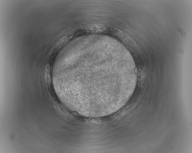 X0000114651058200911171045