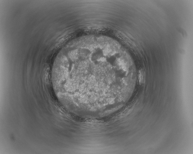 X0000114651059200911171045