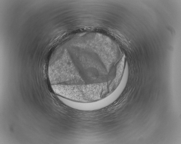 X0000114651060200911171045