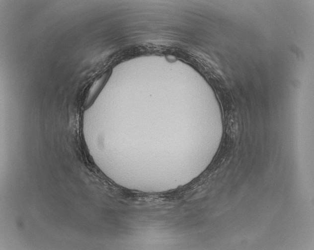 X0000114651061200911171045