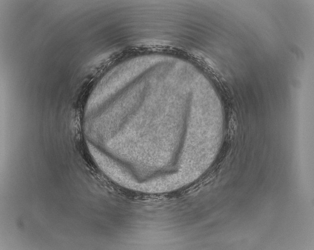 X0000114651062200911171045