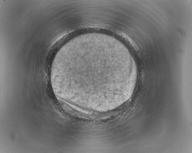 X0000114651064200911171045