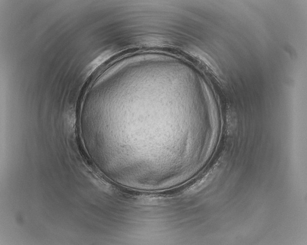 X0000114651065200911171045