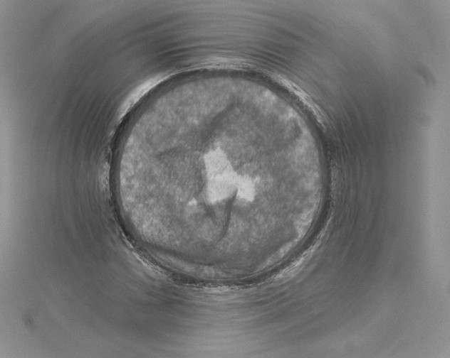 X0000114651066200911171045