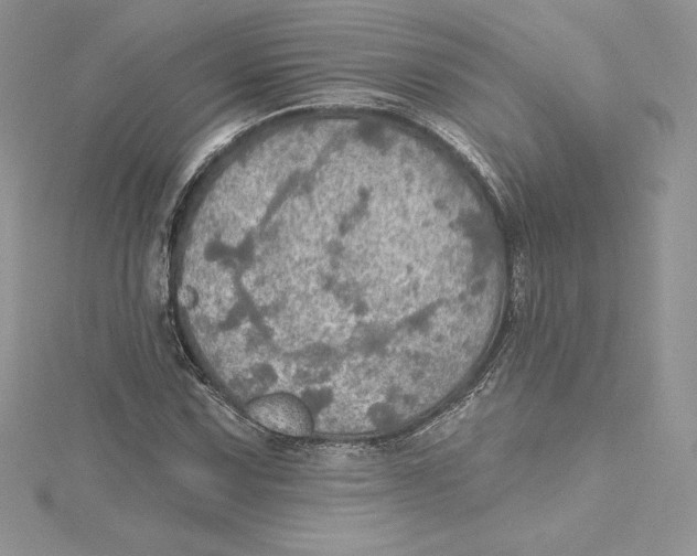 X0000114651067200911171045