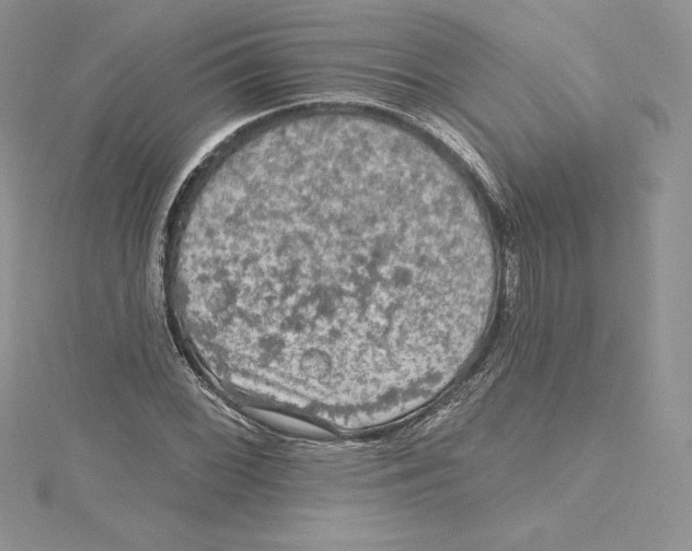 X0000114651068200911171045