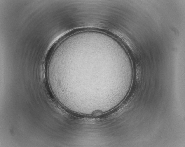 X0000114651069200911171045