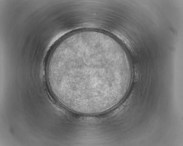 X0000114651070200911171045