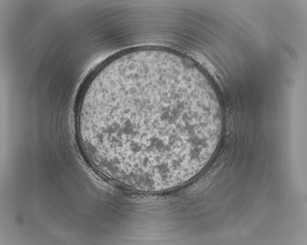 X0000114651072200911171045