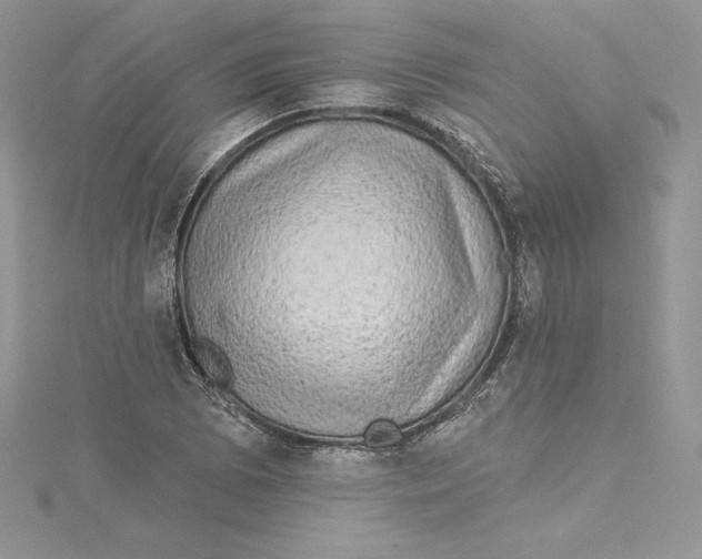 X0000114651073200911171045