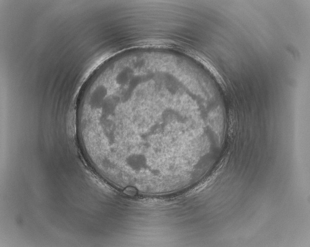 X0000114651075200911171045