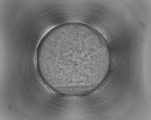 X0000114651076200911171045