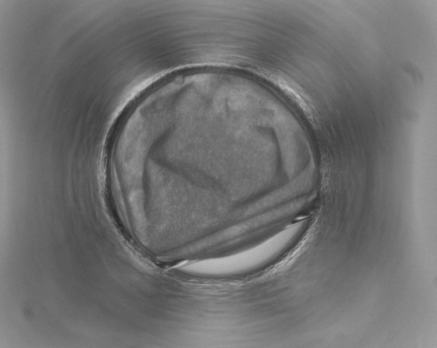 X0000114651077200911171045