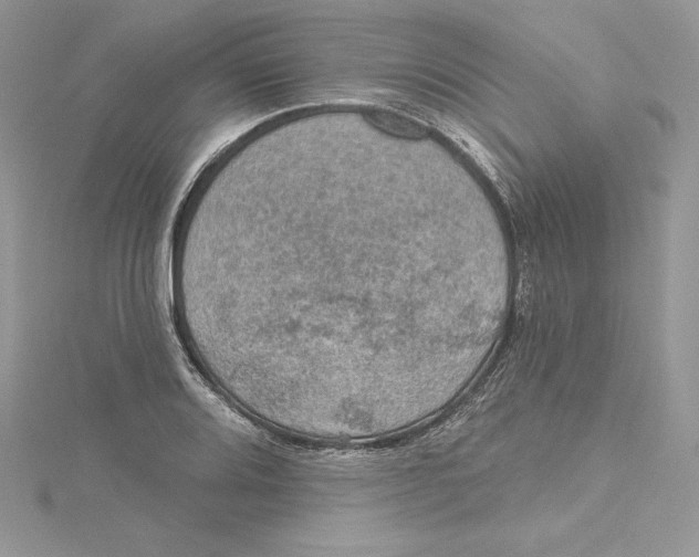 X0000114651080200911171045