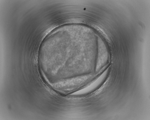 X0000114651081200911171045