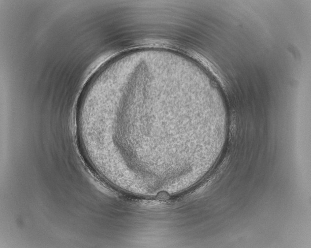 X0000114651082200911171045