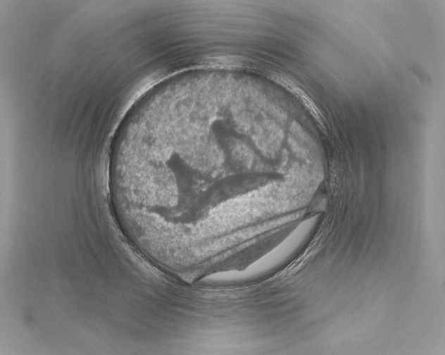 X0000114651083200911171045