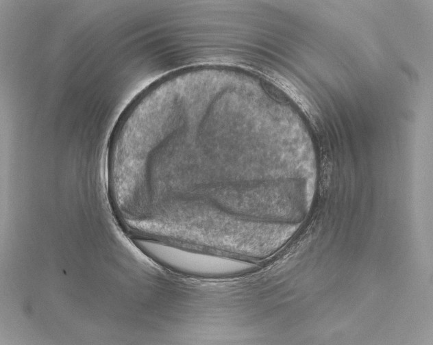 X0000114651084200911171045