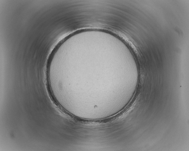 X0000114651085200911171045