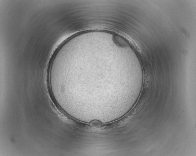 X0000114651086200911171045