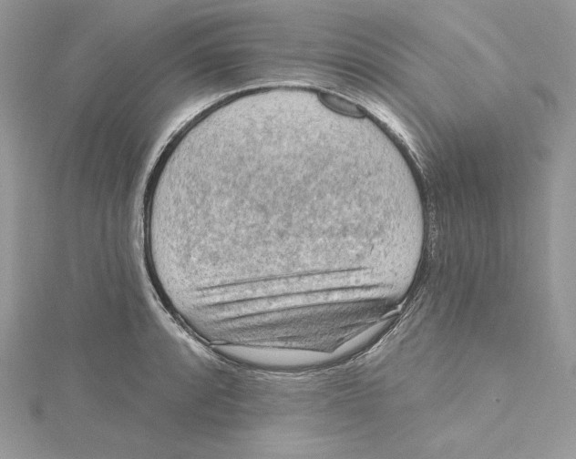 X0000114651088200911171045