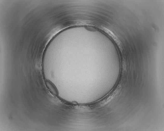 X0000114651089200911171045