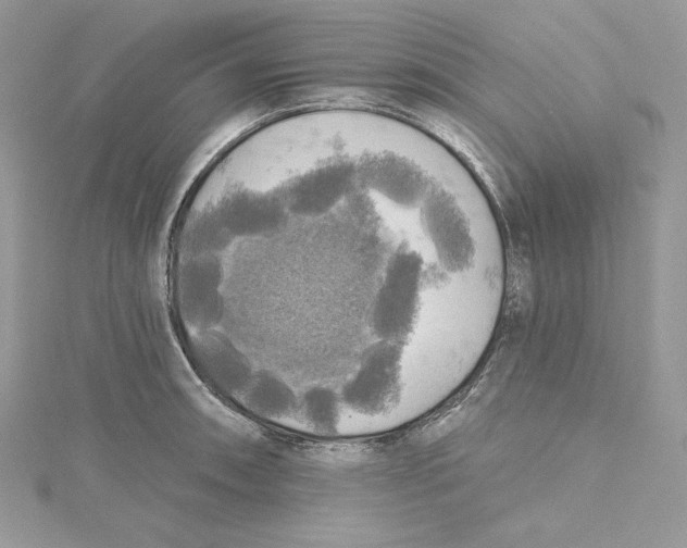 X0000114651090200911171045