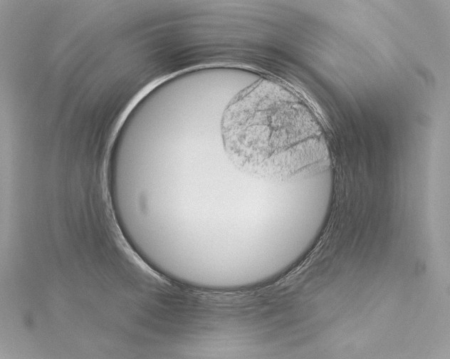 X0000114651092200911171045