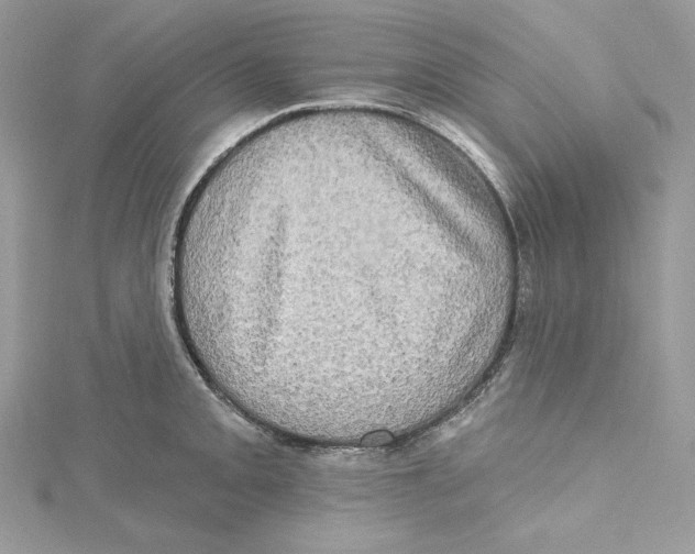 X0000114651093200911171045