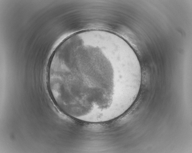 X0000114651094200911171045