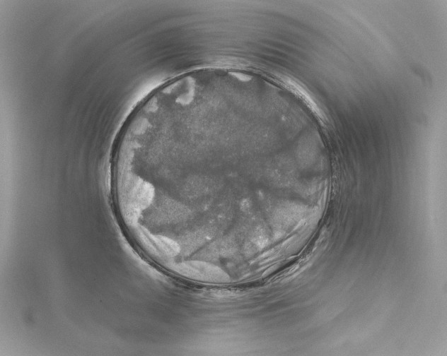 X0000114651095200911171045