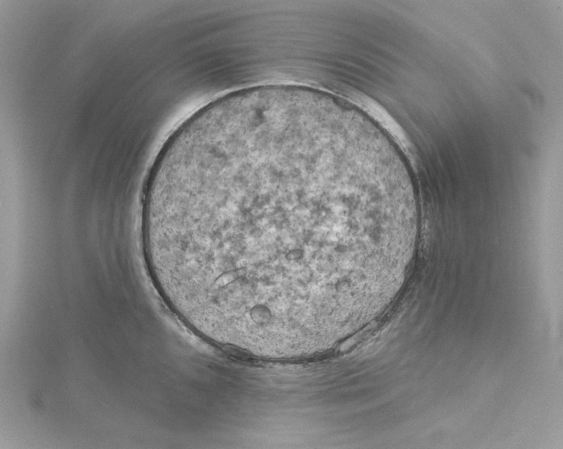 X0000114651096200911171045