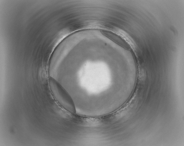 X0000114651097200911171045