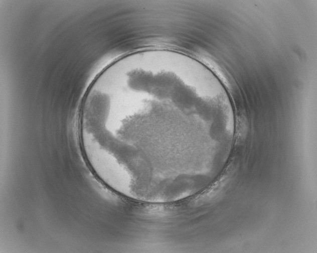 X0000114651098200911171045